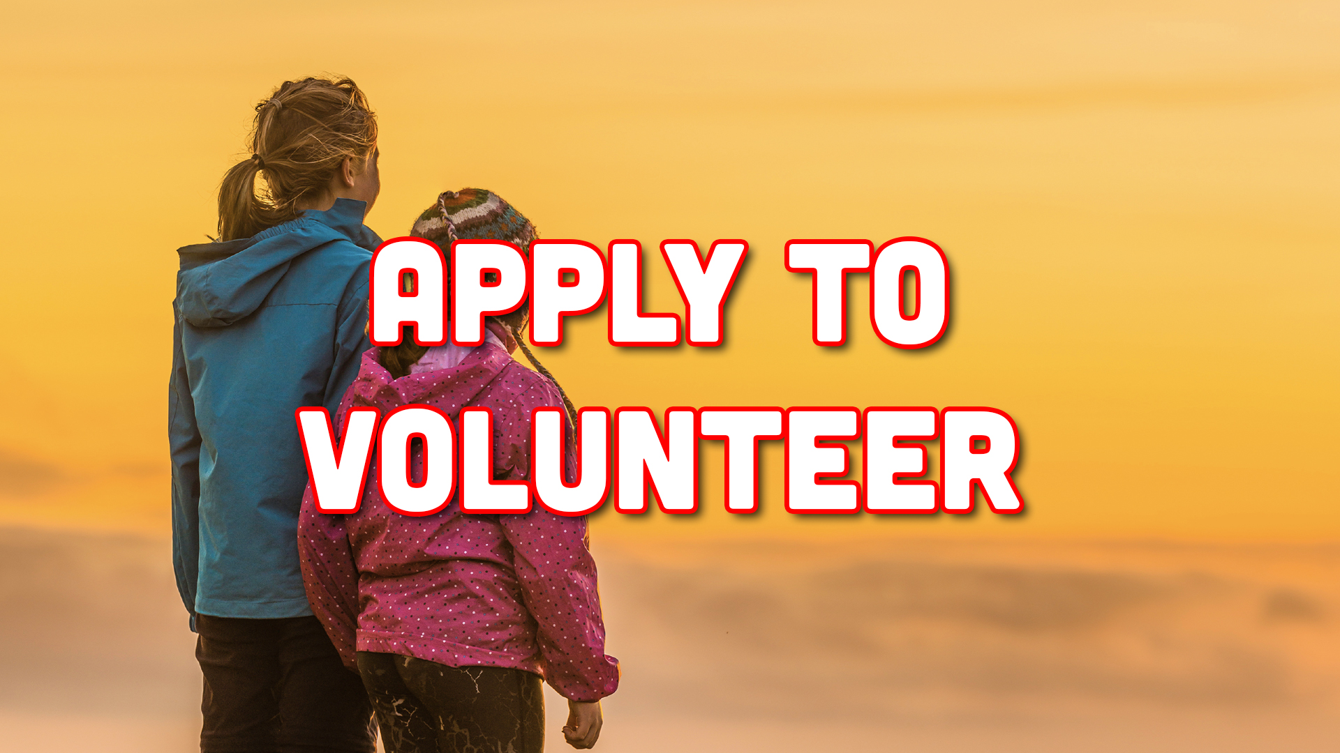 Apply to Volunteer